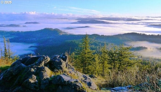 property view of mountains