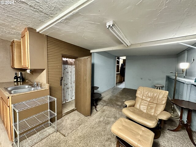 interior space with sink and light colored carpet