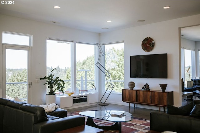 living room featuring a healthy amount of sunlight