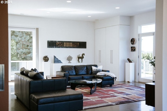 living room with plenty of natural light