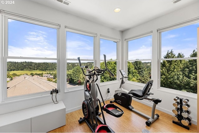 exercise room featuring light hardwood / wood-style floors and plenty of natural light