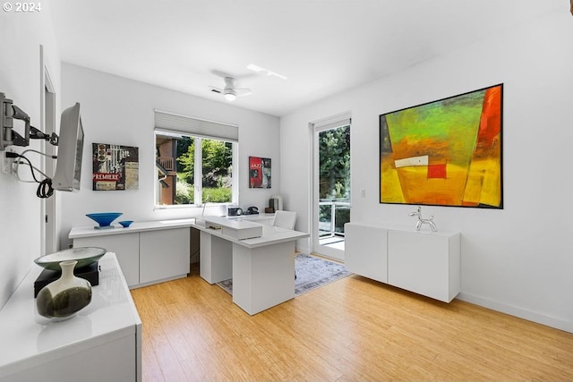 office space featuring light wood-type flooring and ceiling fan