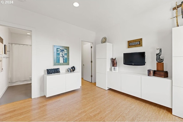 living room featuring light hardwood / wood-style flooring