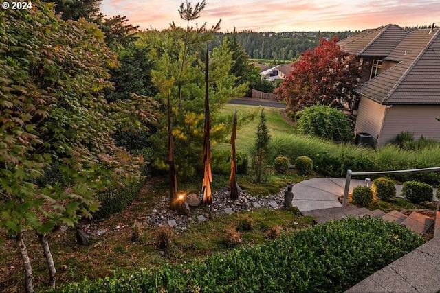 view of yard at dusk