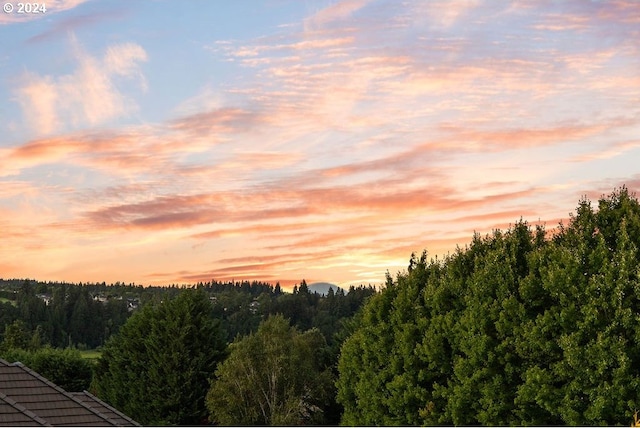 view of nature at dusk