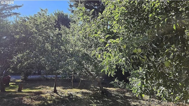 43460 Nicholson Dr, Port Orford, OR 97465 - view of undeveloped land