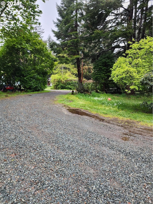 43460 Nicholson Dr, Port Orford, OR 97465 - view of street