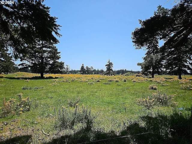 43460 Nicholson Dr, Port Orford, OR 97465 - view of yard with a view of countryside