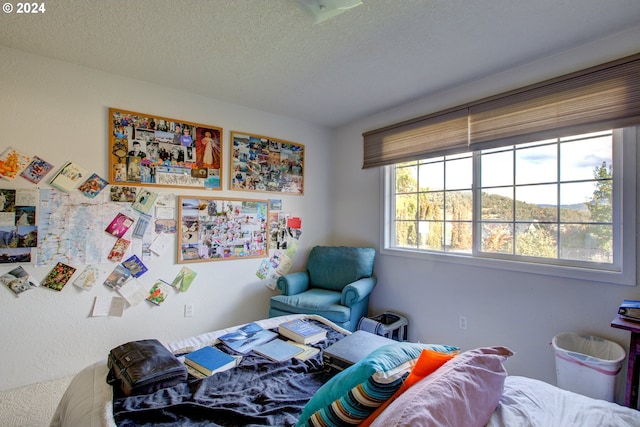 bedroom featuring a textured ceiling