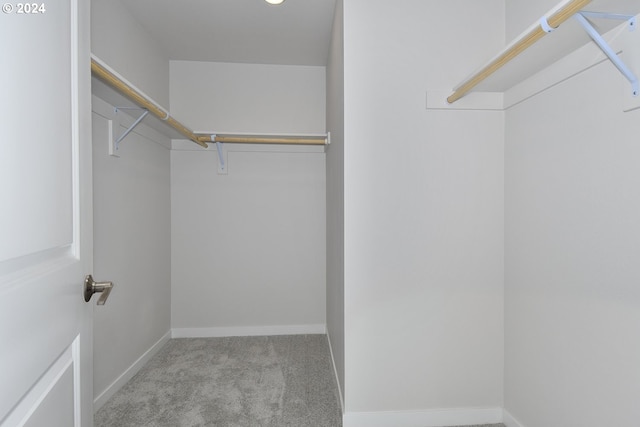 spacious closet featuring carpet flooring