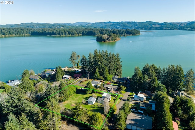 aerial overview of property's location with a water and mountain view, property parcel outlined, and a forest