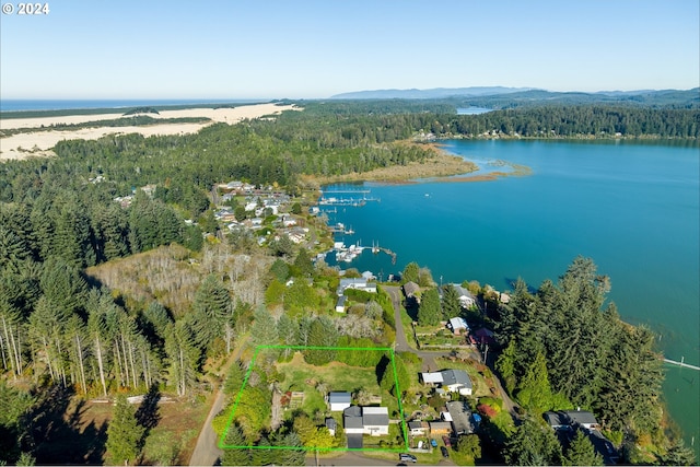 aerial overview of property's location with a heavily wooded area, a large body of water, and property boundaries highlighted