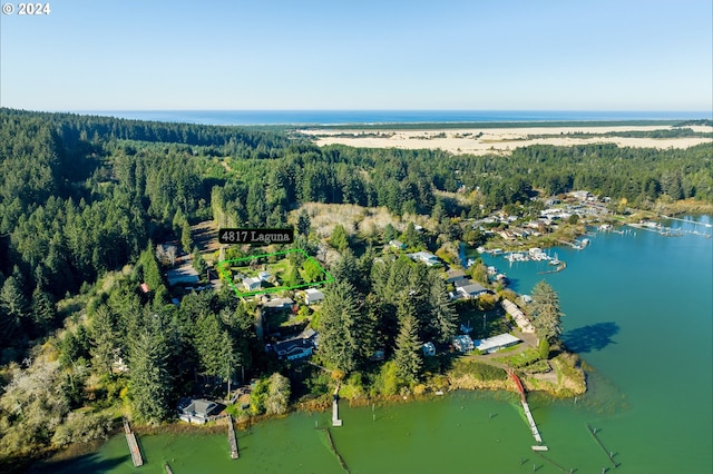 bird's eye view of a heavily wooded area and a large body of water