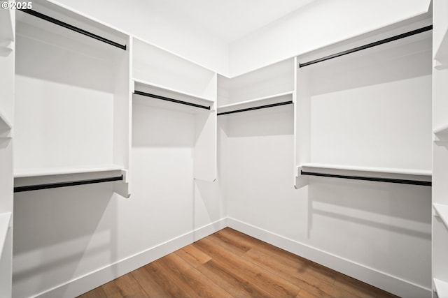 spacious closet featuring hardwood / wood-style flooring and a barn door