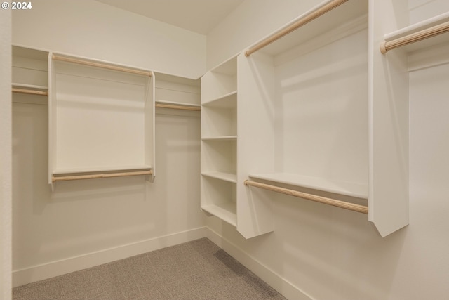 spacious closet with carpet flooring