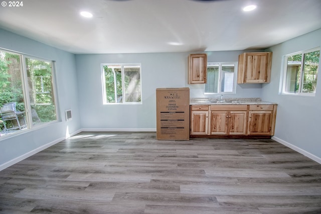 kitchen featuring plenty of natural light, sink, and light hardwood / wood-style floors