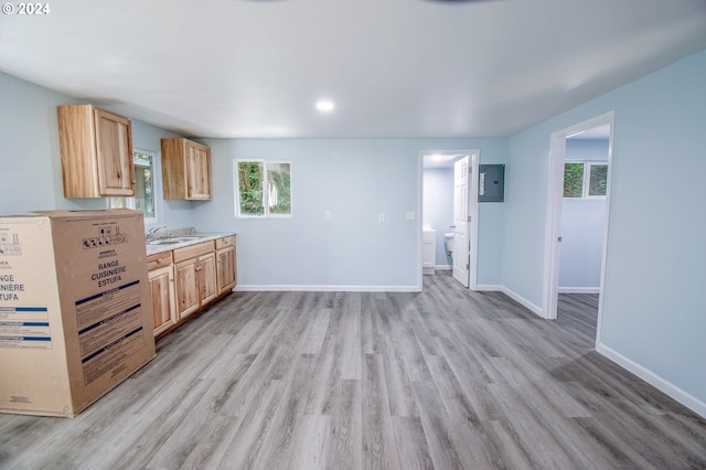 kitchen featuring electric panel, light brown cabinetry, light hardwood / wood-style flooring, and a wealth of natural light