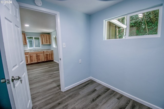 interior space featuring hardwood / wood-style flooring and sink