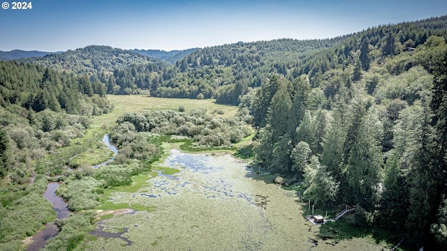 bird's eye view