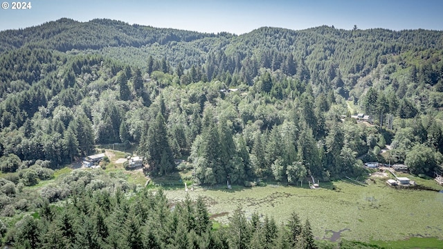 drone / aerial view featuring a mountain view