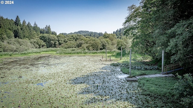 view of local wilderness