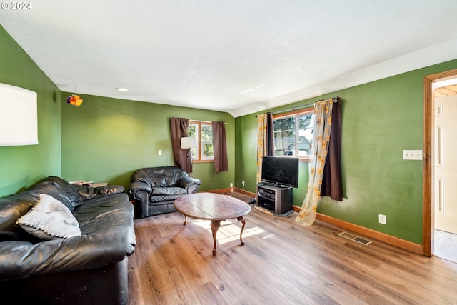 living room featuring hardwood / wood-style flooring