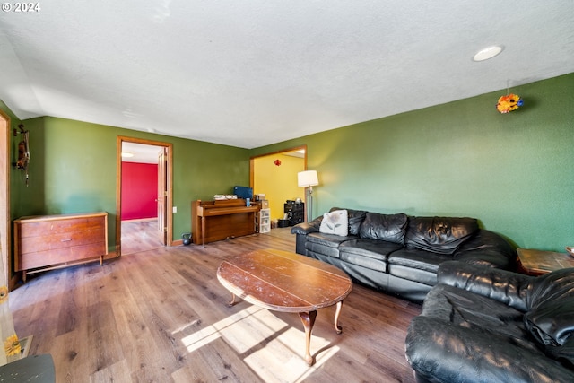 living room featuring hardwood / wood-style floors and a textured ceiling