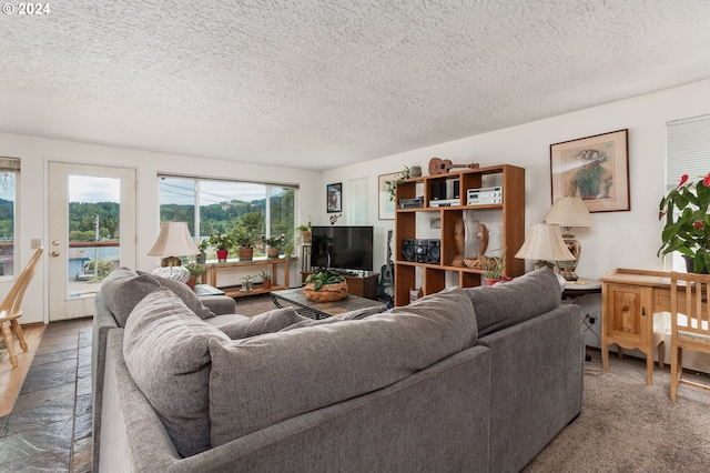 living room featuring a textured ceiling