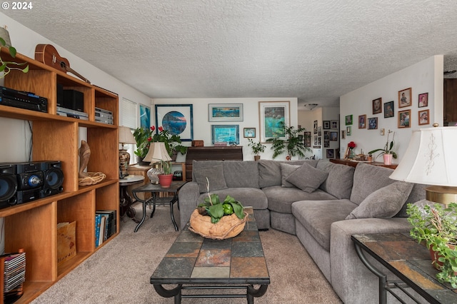 carpeted living room featuring a textured ceiling