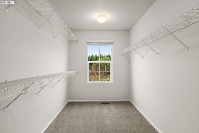 walk in closet with carpet