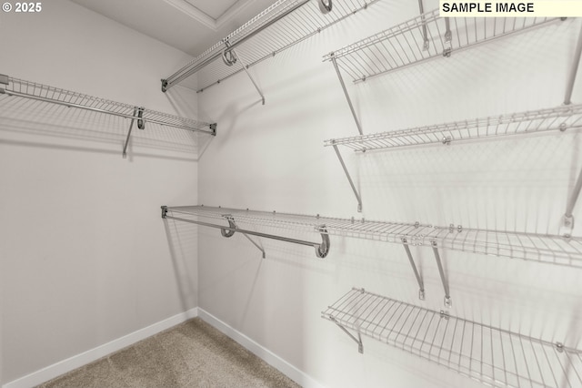1353 NE Josephine Ct Unit 167, Estacada, OR 97023 - spacious closet with light colored carpet