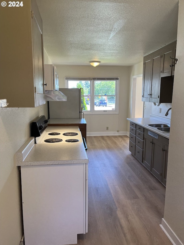 kitchen with gray cabinetry, electric stove, sink, light wood-type flooring, and a textured ceiling