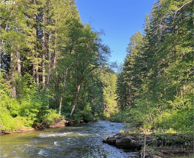 view of local wilderness