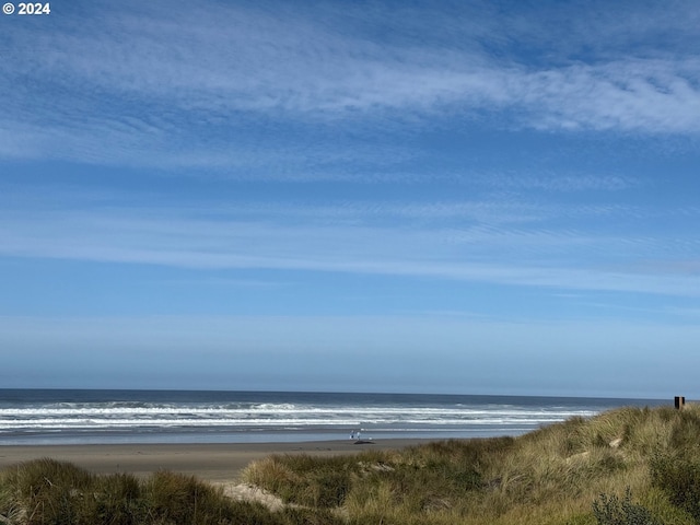 water view featuring a beach view