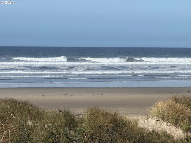 water view with a view of the beach