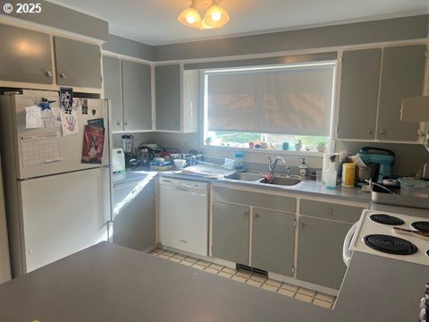 kitchen featuring sink, gray cabinetry, and white appliances