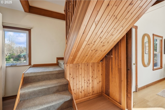 staircase with wood-type flooring