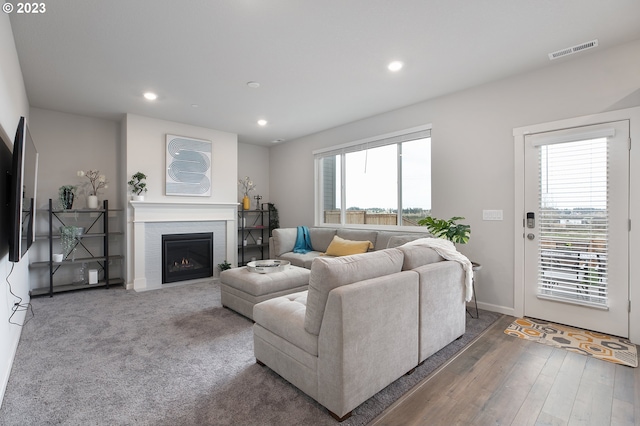 living room featuring a healthy amount of sunlight and wood-type flooring