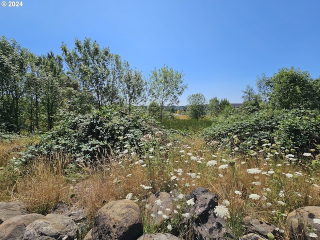 view of landscape