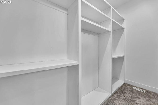 walk in closet with carpet