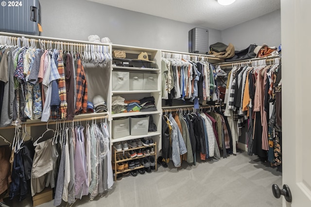 walk in closet featuring carpet floors