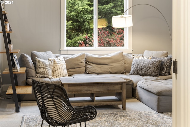 living room with light carpet