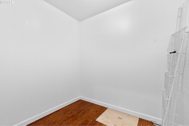 walk in closet featuring wood-type flooring