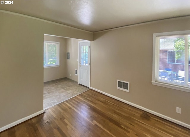 entryway with hardwood / wood-style flooring and plenty of natural light