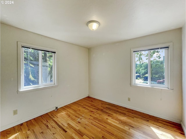 spare room featuring light wood-type flooring and plenty of natural light