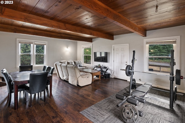 dining room with dark hardwood / wood-style flooring, beamed ceiling, wood ceiling, and plenty of natural light