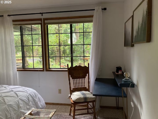 68191 E Twinberry Loop, Welches, OR 97067 - carpeted bedroom with multiple windows and baseboards
