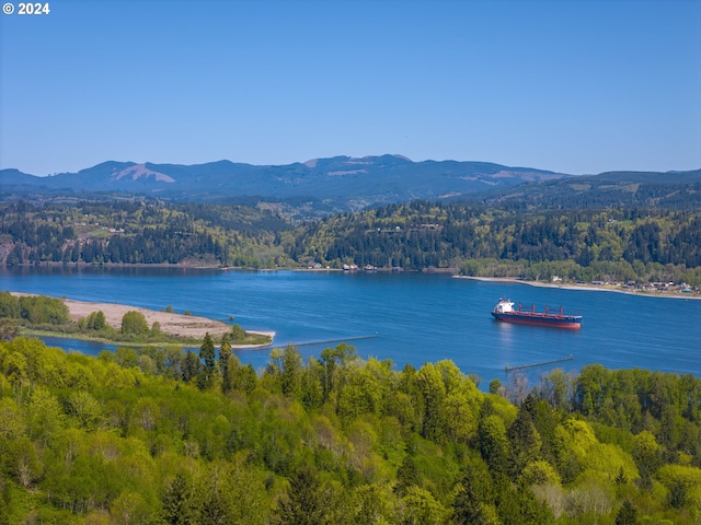 water view featuring a mountain view