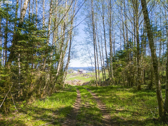 view of local wilderness