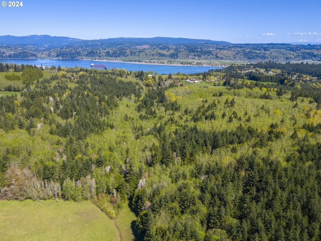 drone / aerial view featuring a water and mountain view